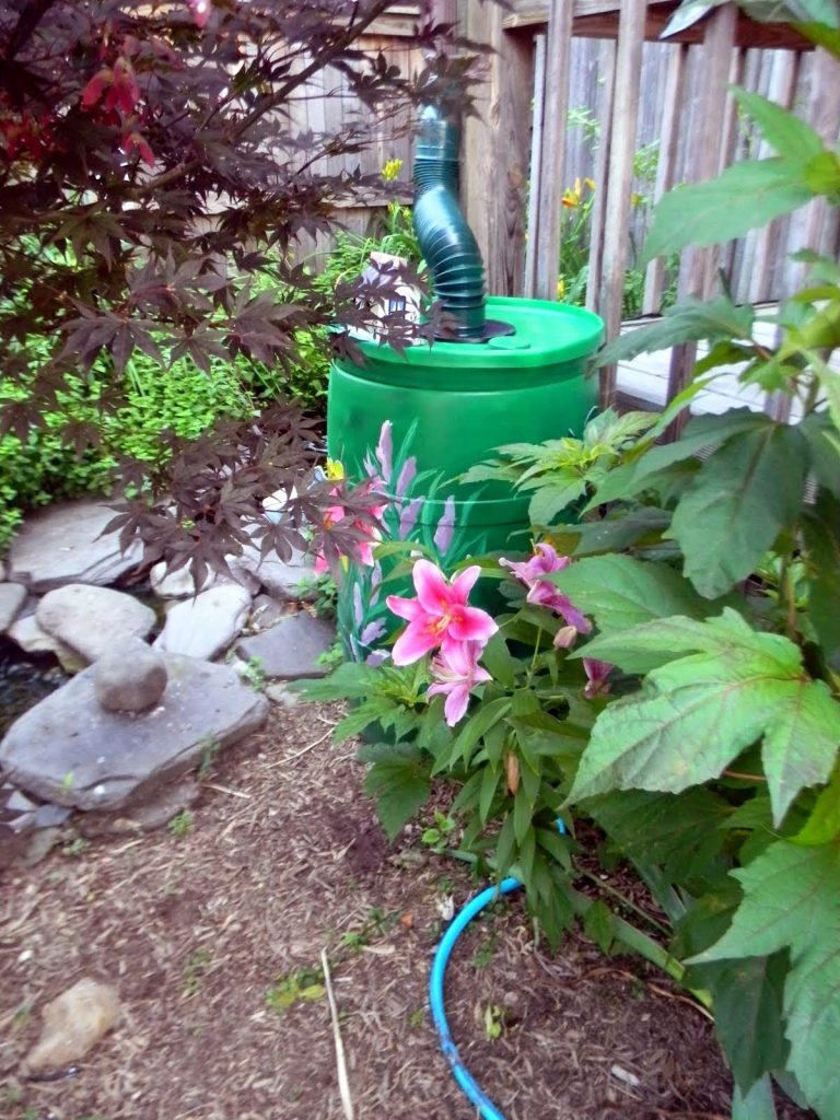 Garden Rain Barrels Capturing Rainwater - Garden Girls LLC